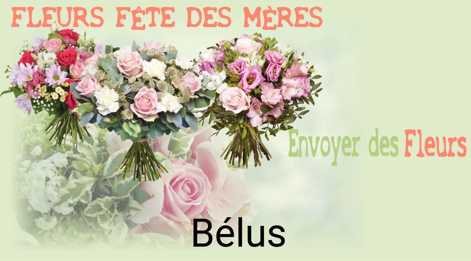 Bouquet de Fête des Mères livré à Bélus