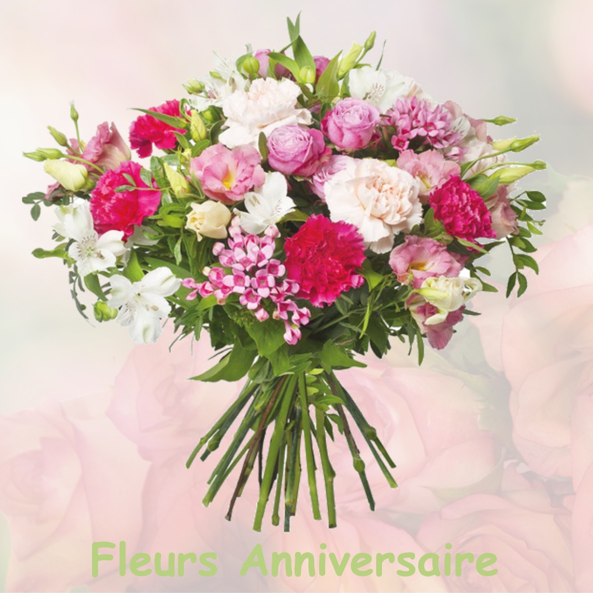 fleurs anniversaire BELUS