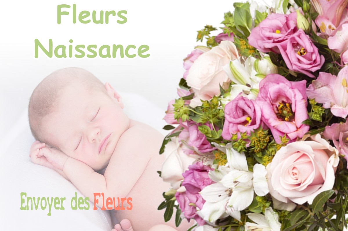 lIVRAISON FLEURS NAISSANCE à BELUS